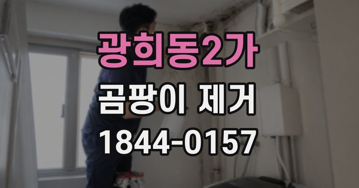 광희동2가 곰팡이 제거