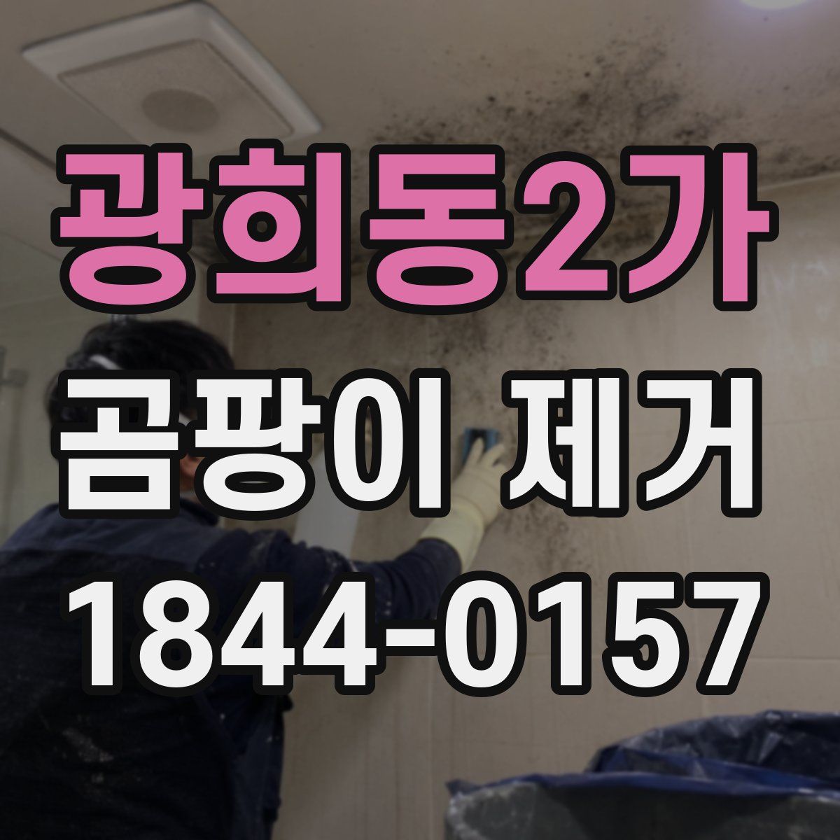 광희동2가 곰팡이 제거