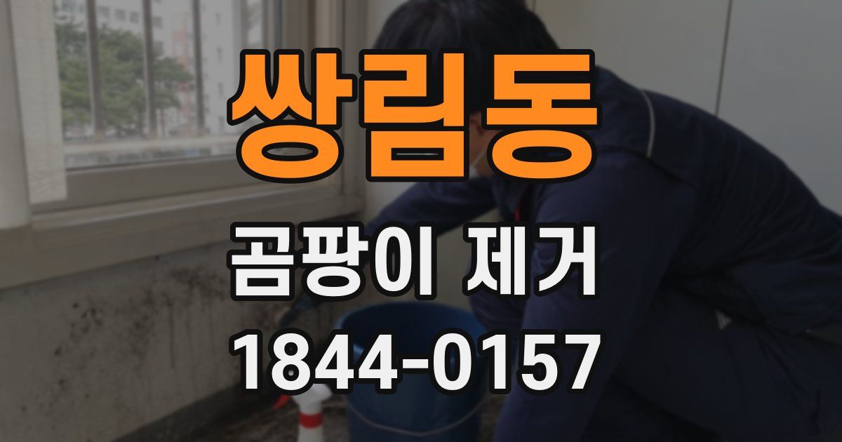 쌍림동 곰팡이 제거