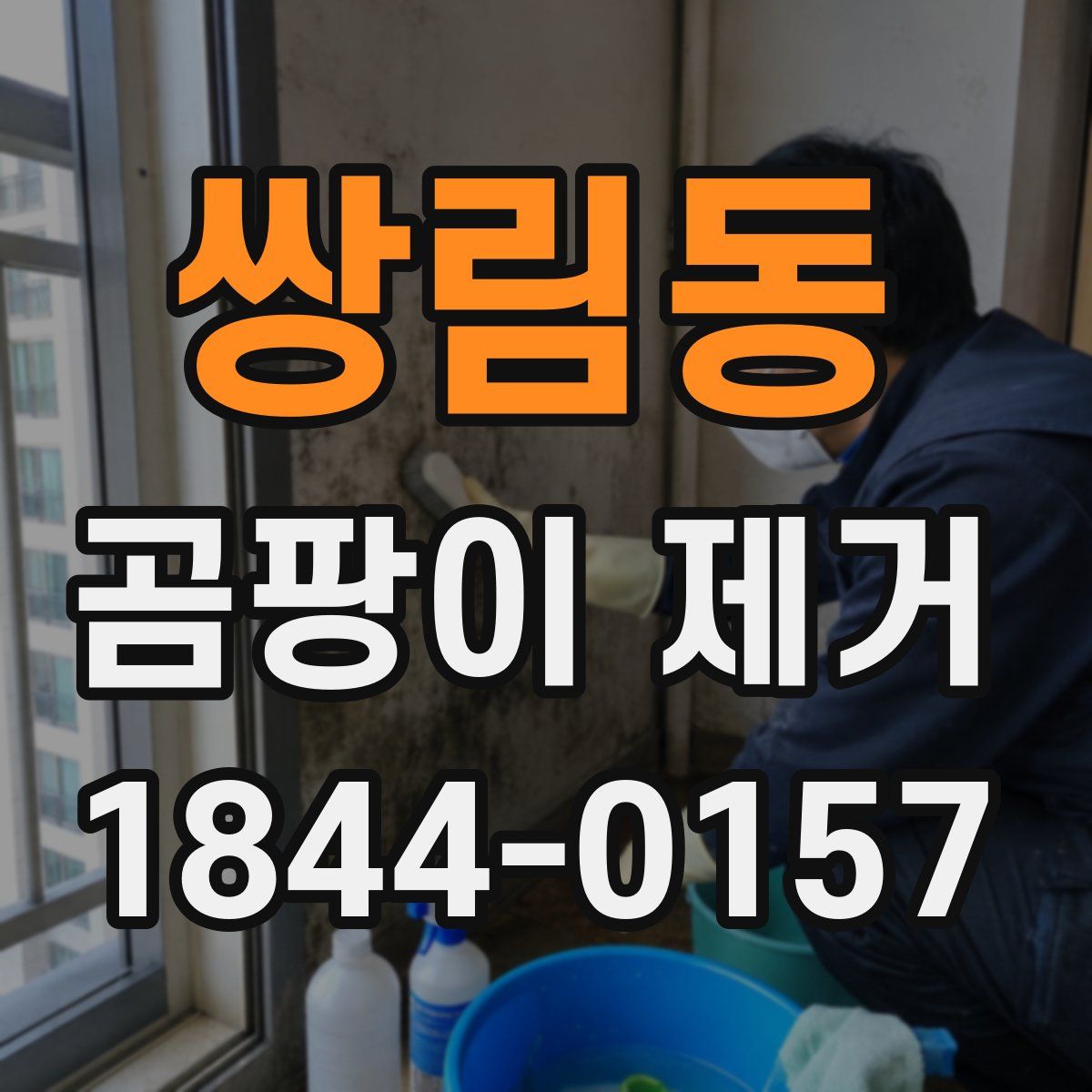 쌍림동 곰팡이 제거