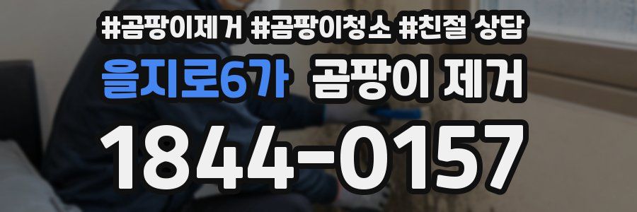 을지로6가 곰팡이 제거
