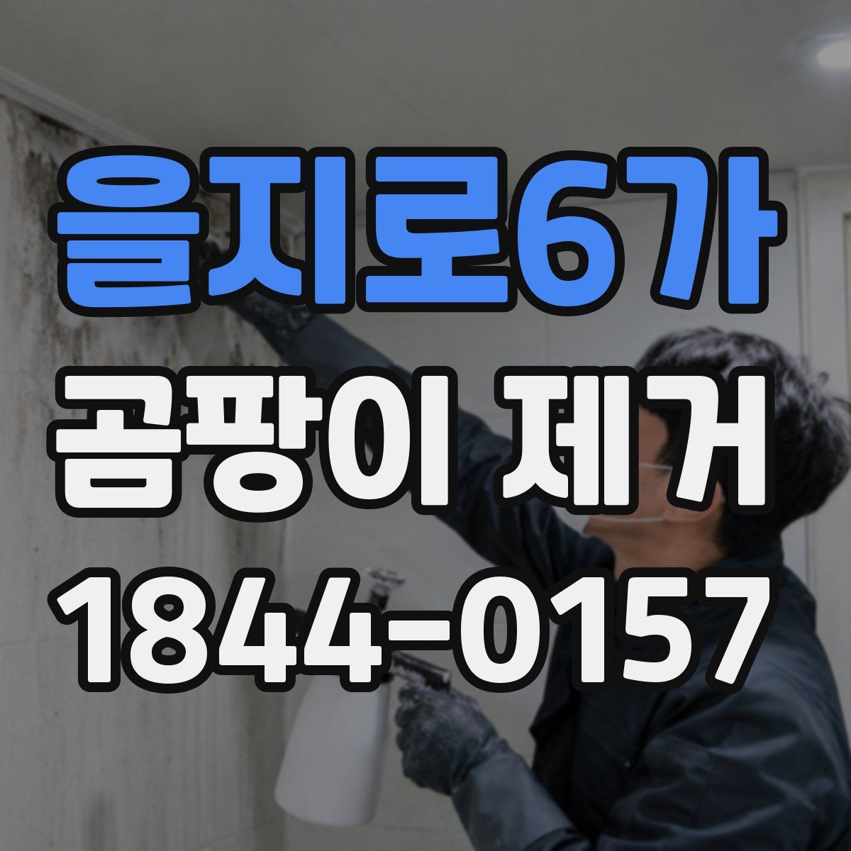 을지로6가 곰팡이 제거
