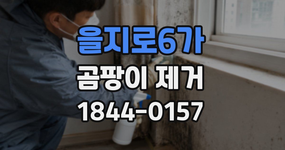 을지로6가 곰팡이 제거