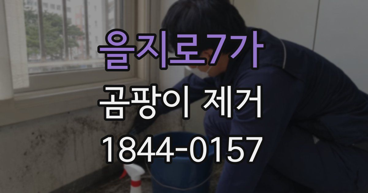 을지로7가 곰팡이 제거