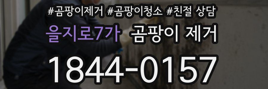 을지로7가 곰팡이 제거