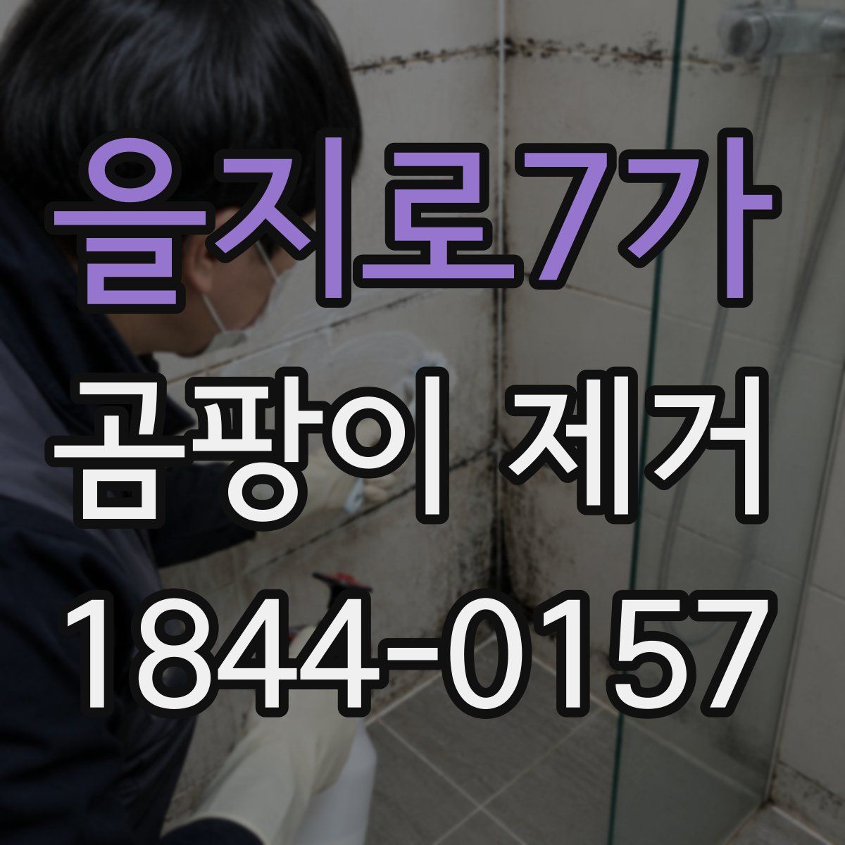 을지로7가 곰팡이 제거