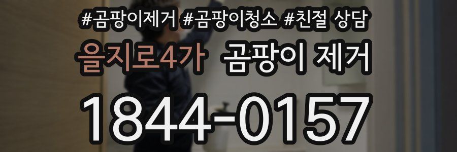 을지로4가 곰팡이 제거