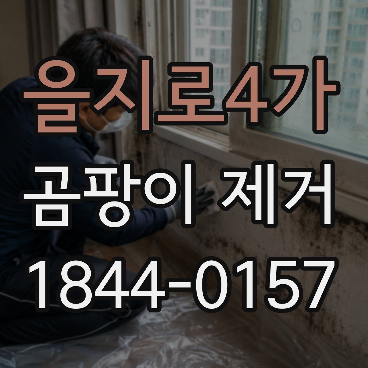 을지로4가 곰팡이 제거