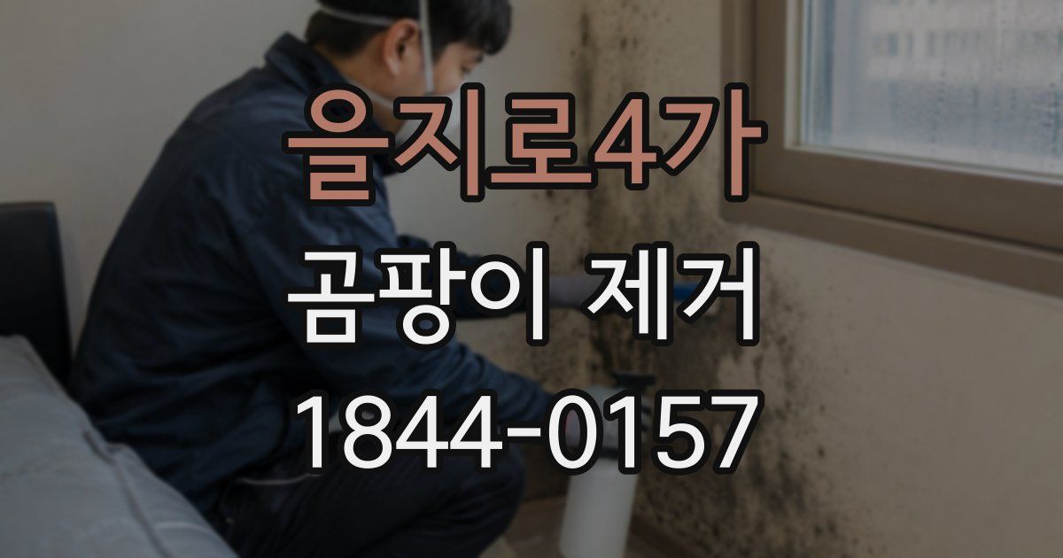 을지로4가 곰팡이 제거