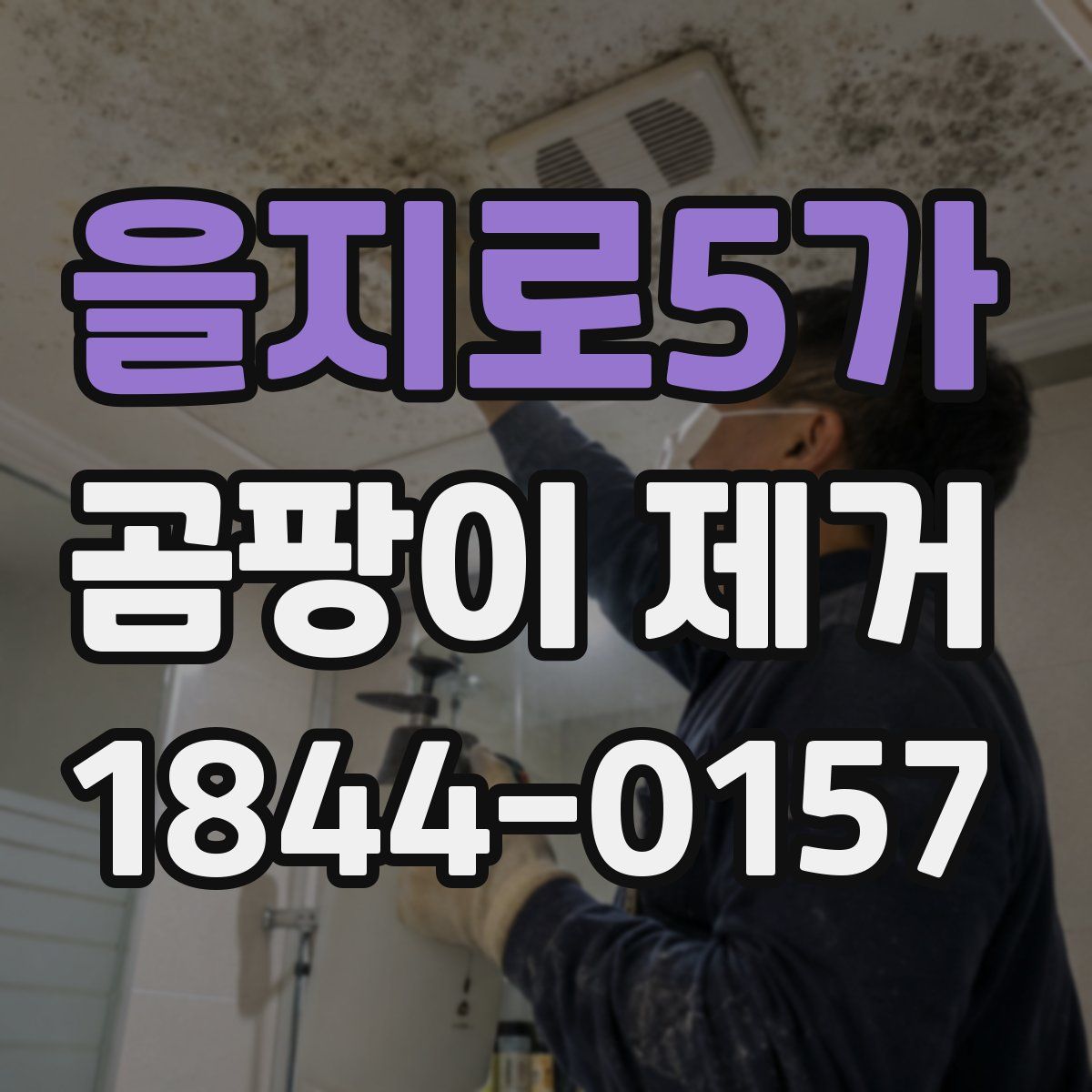 을지로5가 곰팡이 제거
