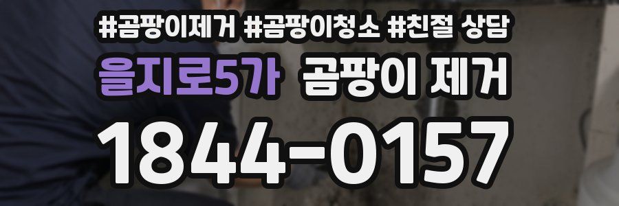 을지로5가 곰팡이 제거