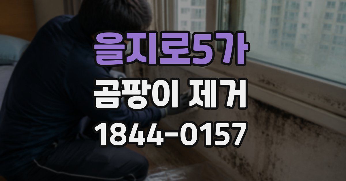 을지로5가 곰팡이 제거