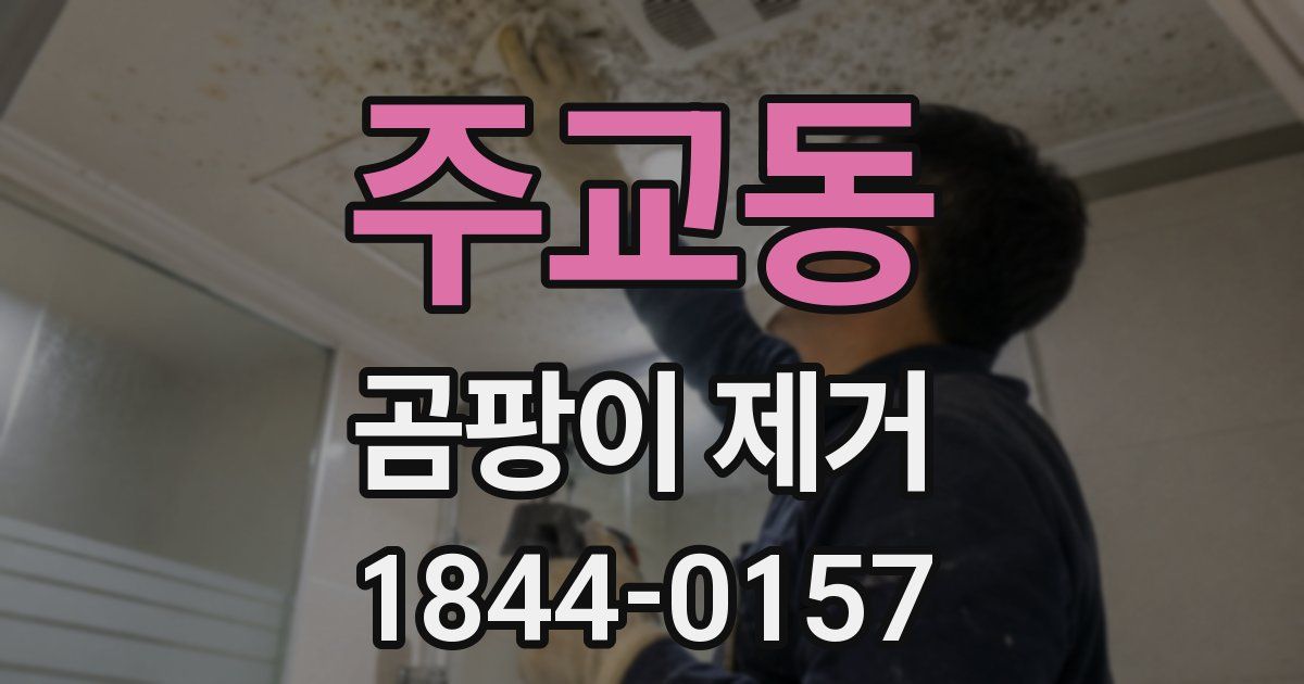 주교동 곰팡이 제거