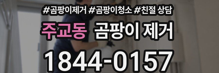 주교동 곰팡이 제거