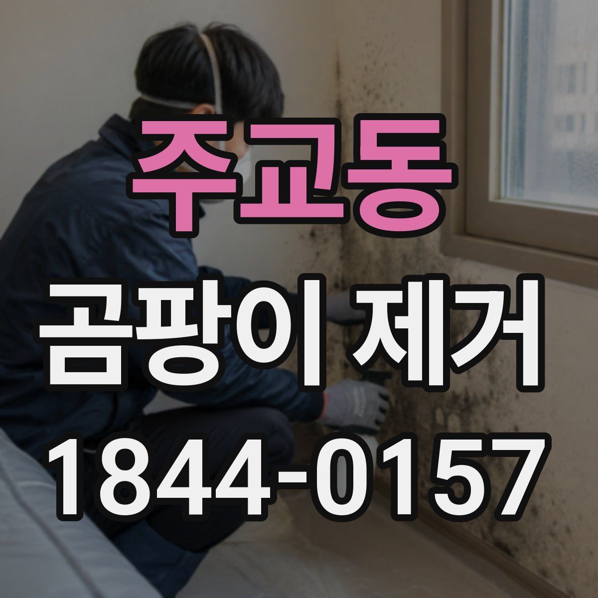 주교동 곰팡이 제거