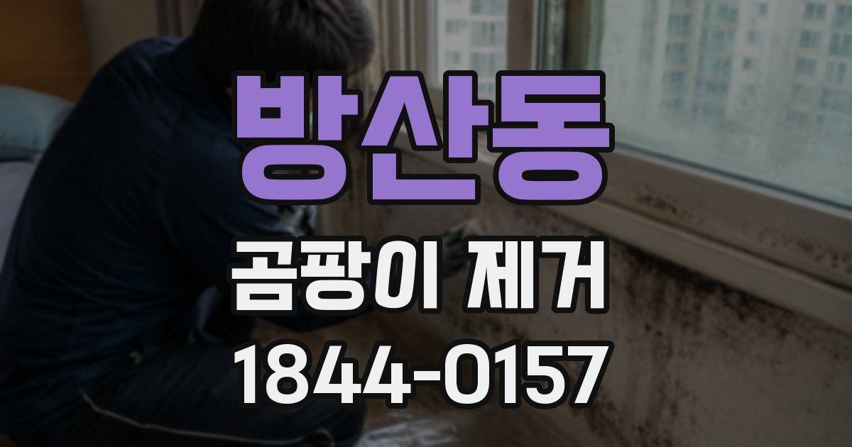 방산동 곰팡이 제거