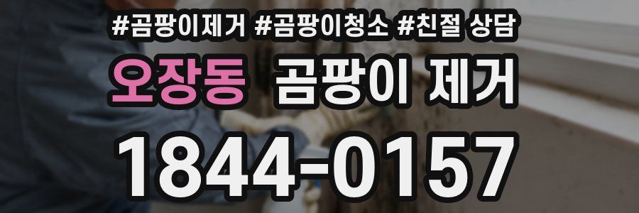 오장동 곰팡이 제거
