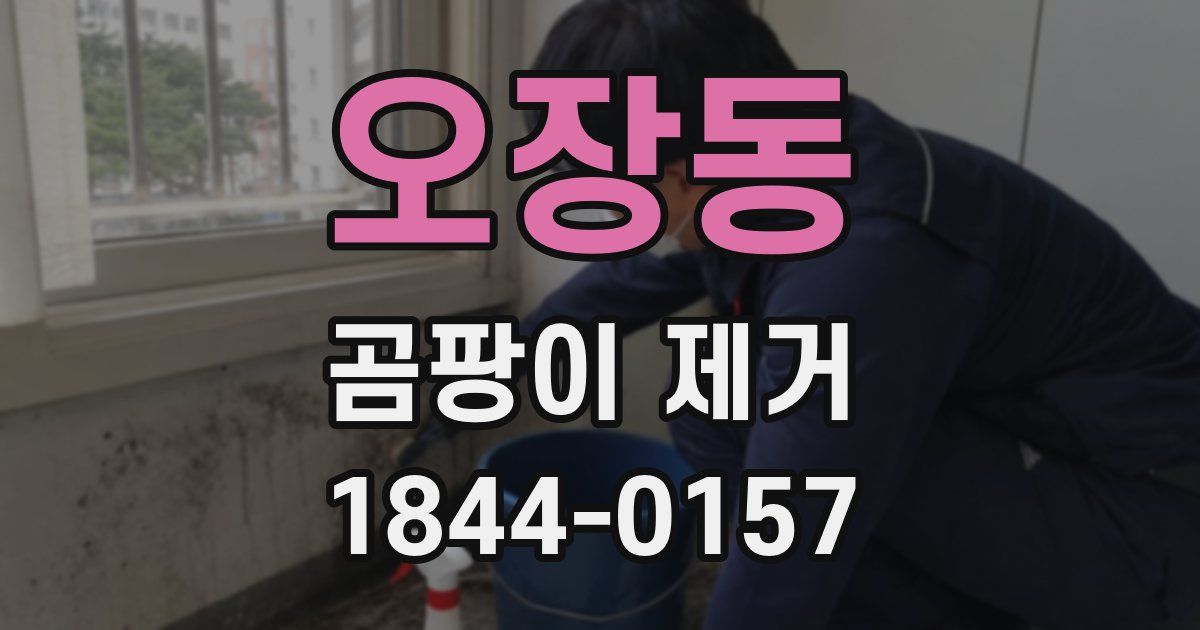 오장동 곰팡이 제거