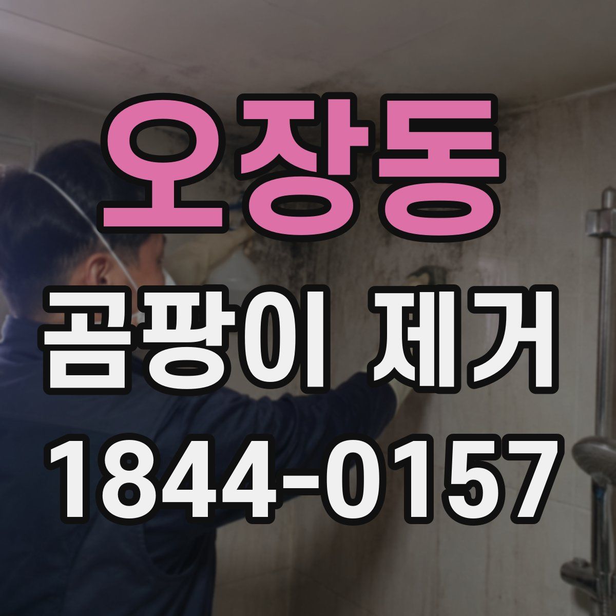 오장동 곰팡이 제거
