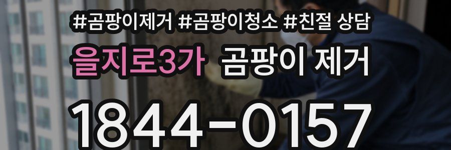 을지로3가 곰팡이 제거