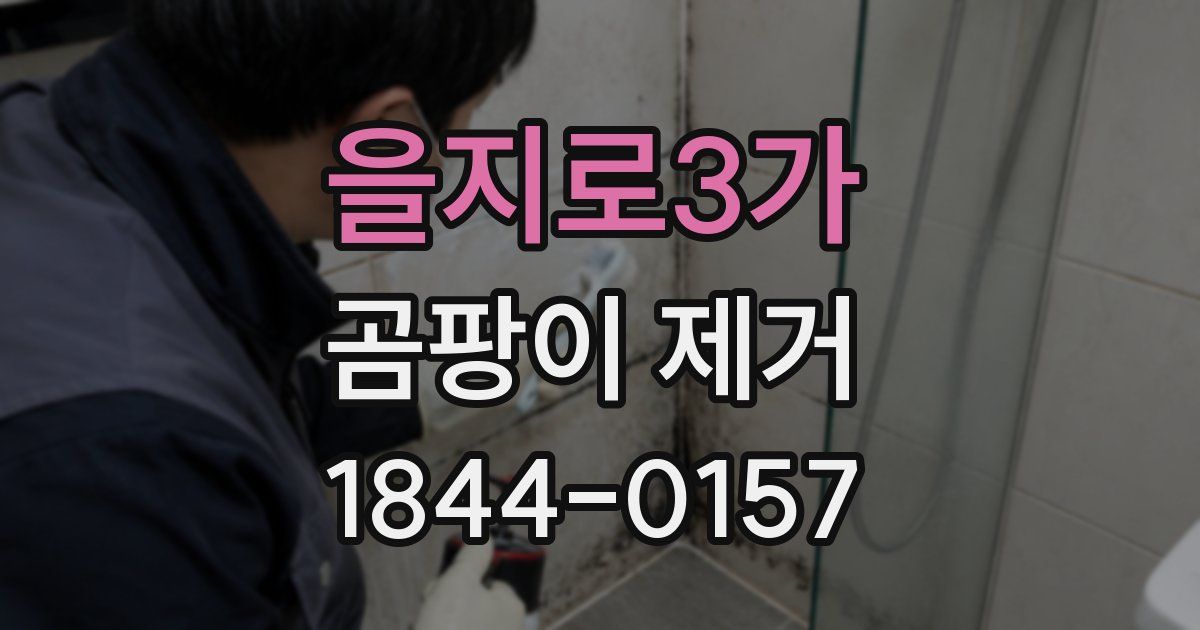 을지로3가 곰팡이 제거