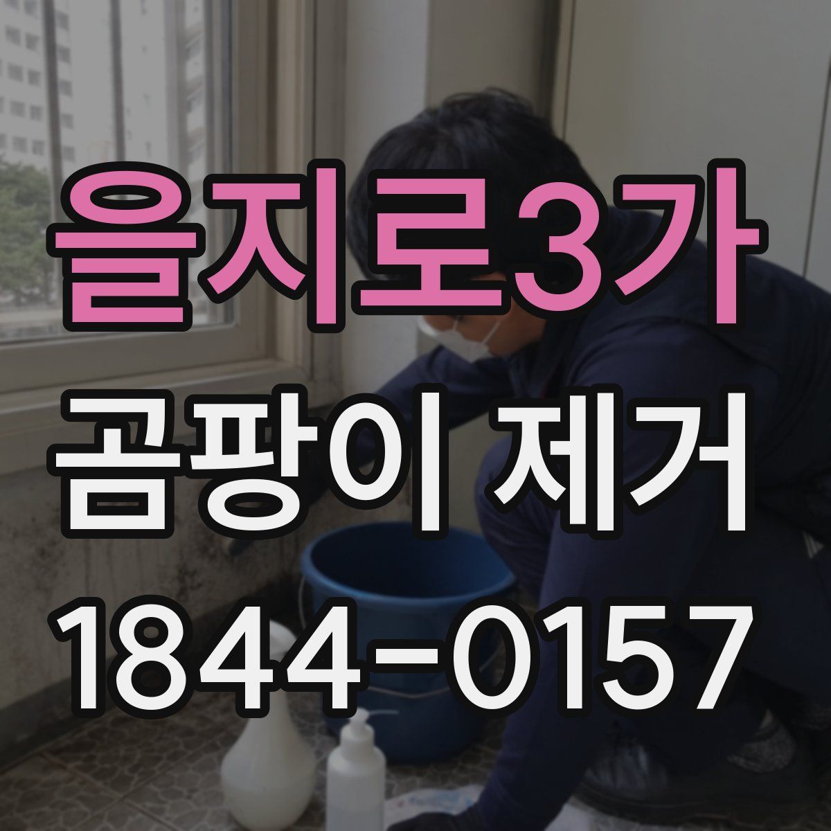 을지로3가 곰팡이 제거