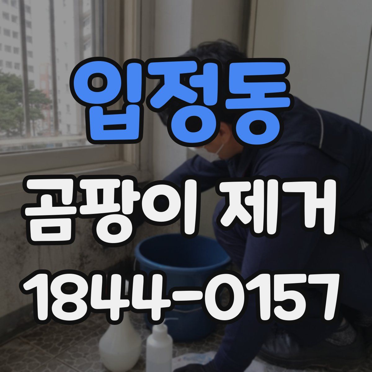 입정동 곰팡이 제거