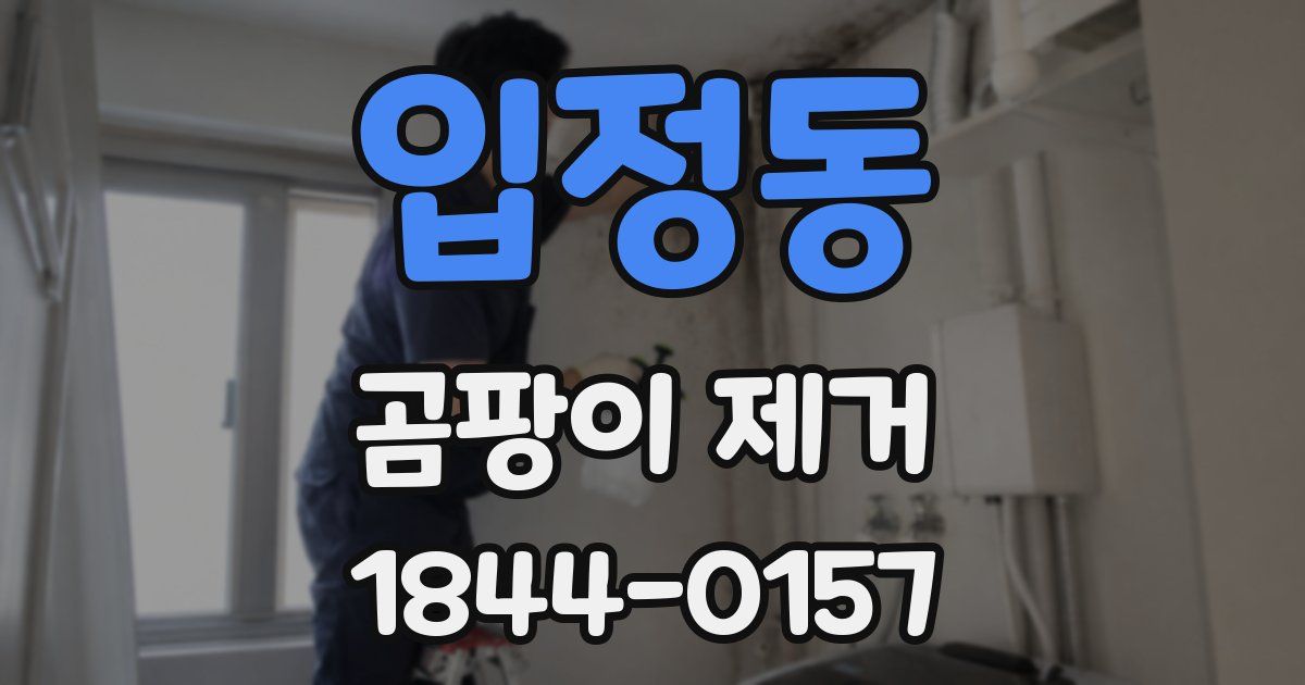 입정동 곰팡이 제거
