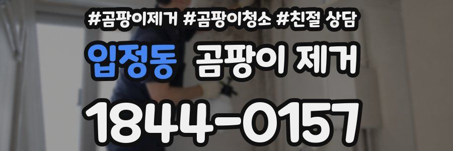 입정동 곰팡이 제거