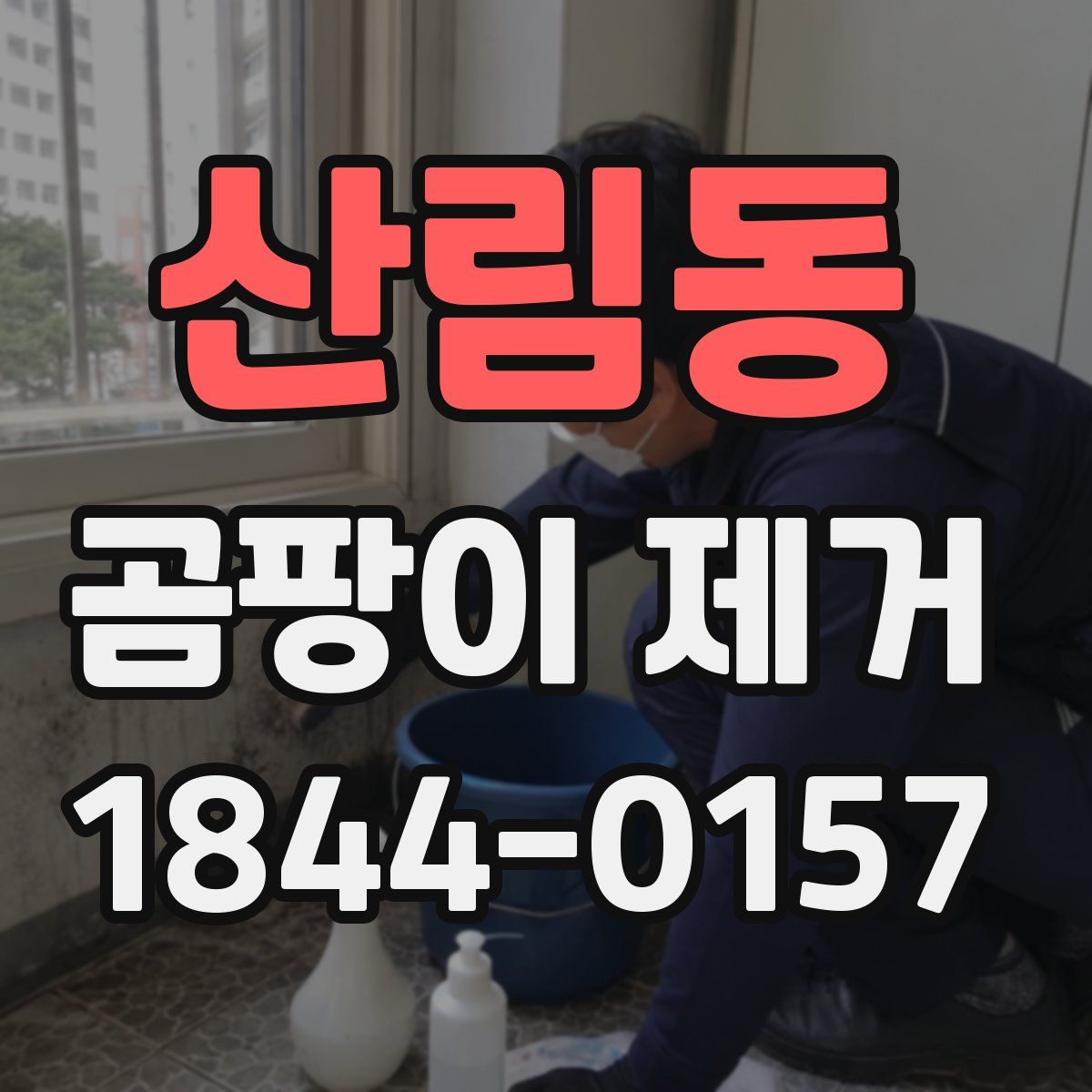 산림동 곰팡이 제거