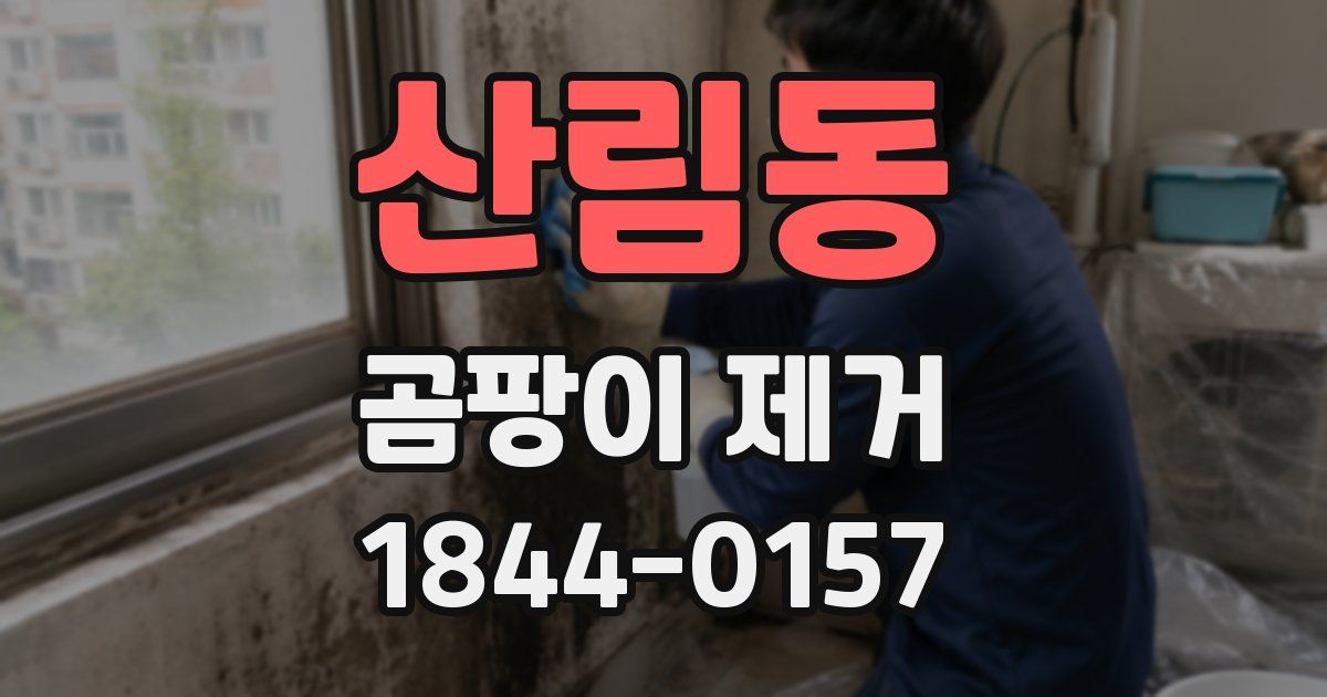 산림동 곰팡이 제거