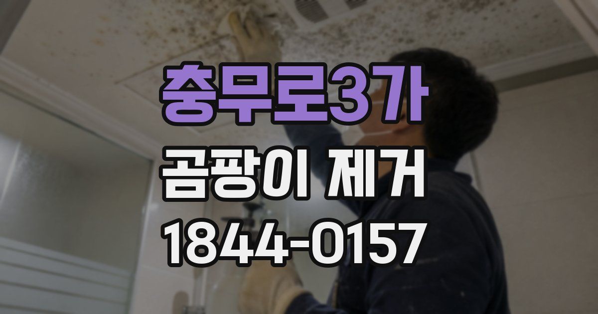충무로3가 곰팡이 제거