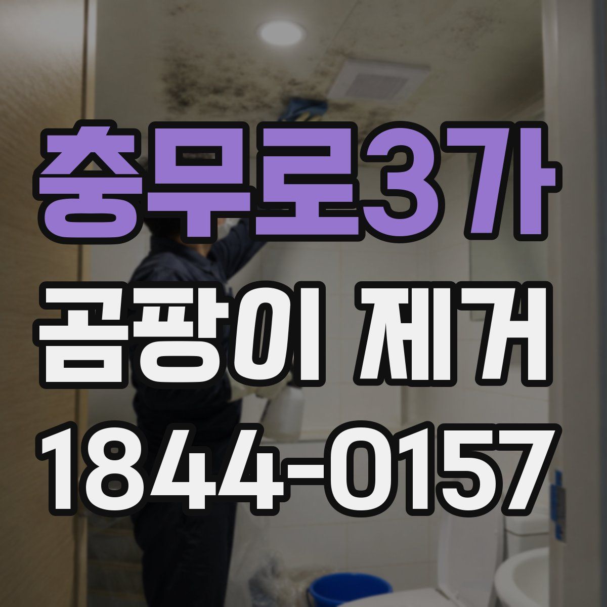 충무로3가 곰팡이 제거