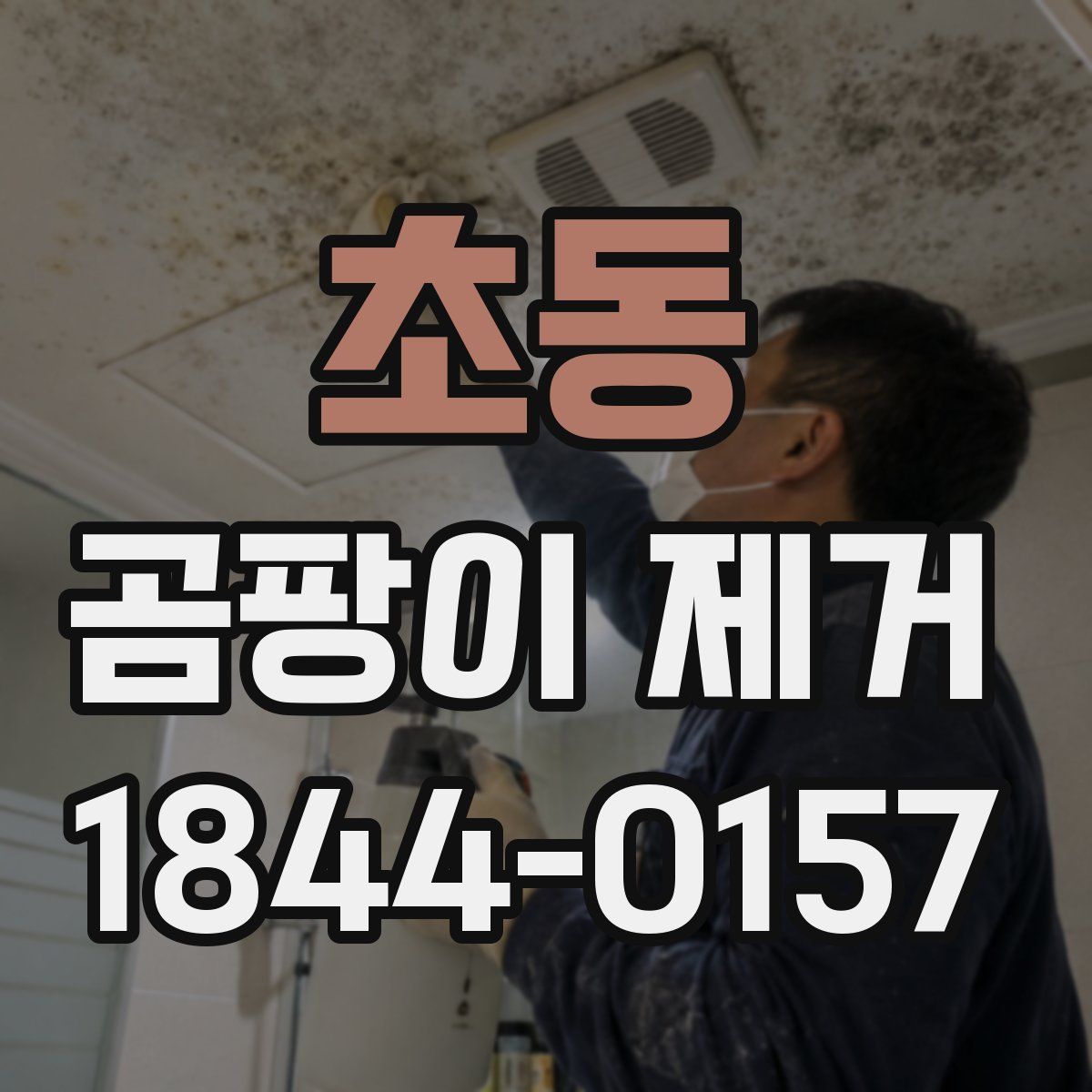 초동 곰팡이 제거