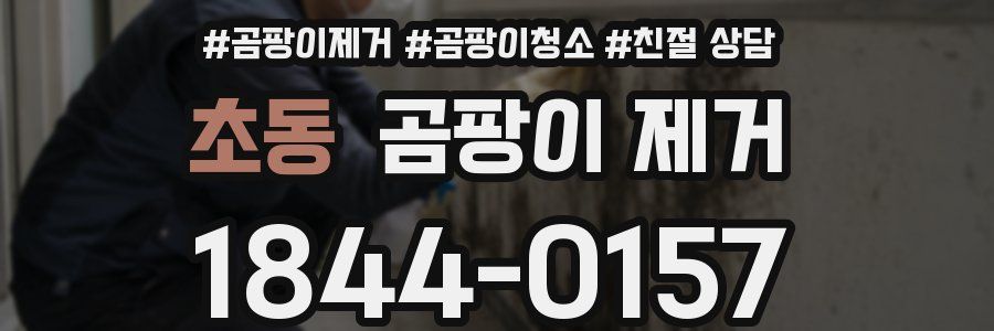 초동 곰팡이 제거