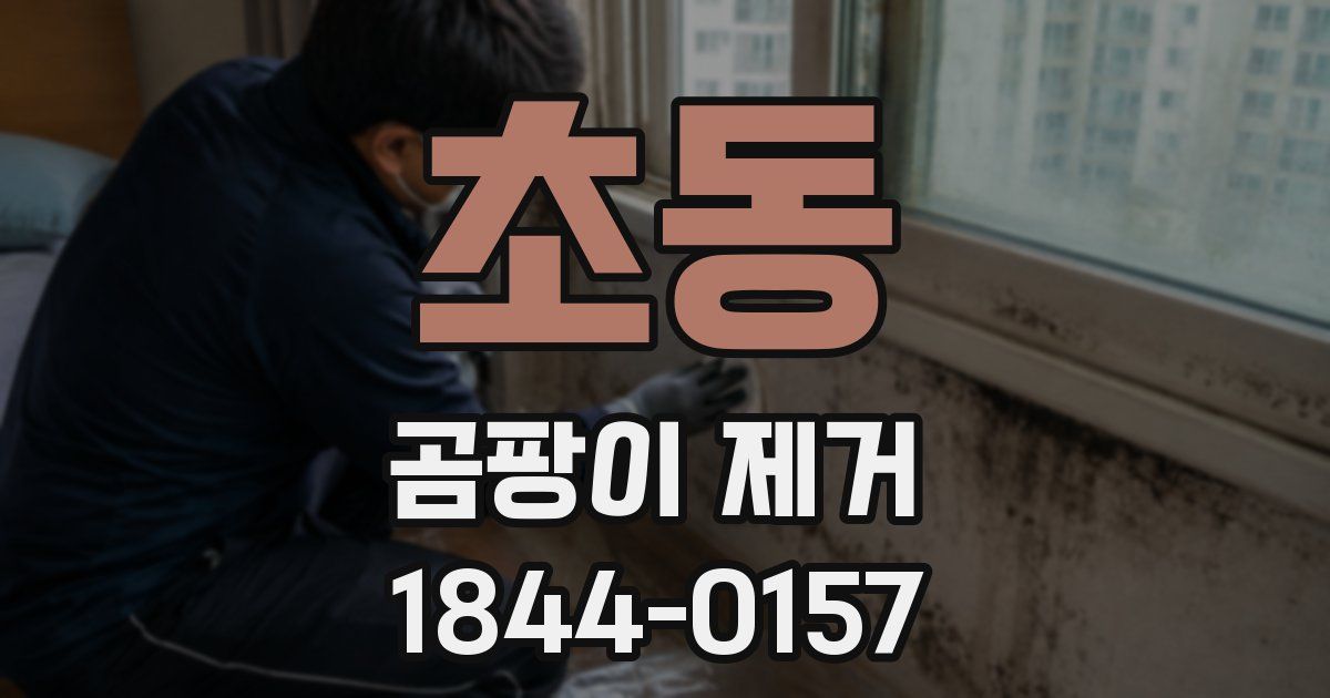 초동 곰팡이 제거