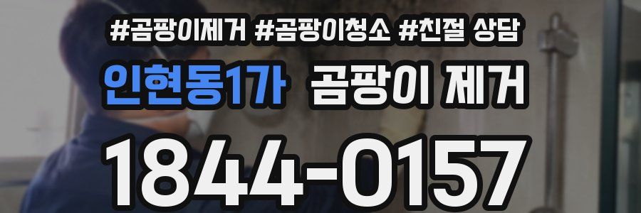 인현동1가 곰팡이 제거