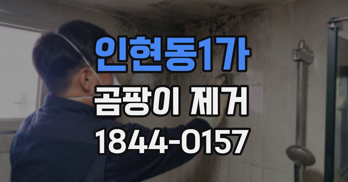 인현동1가 곰팡이 제거