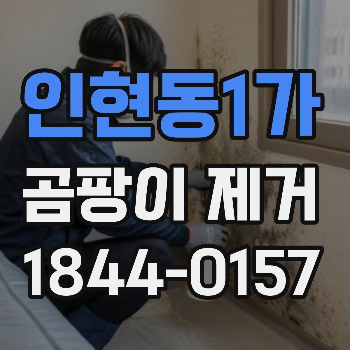 인현동1가 곰팡이 제거