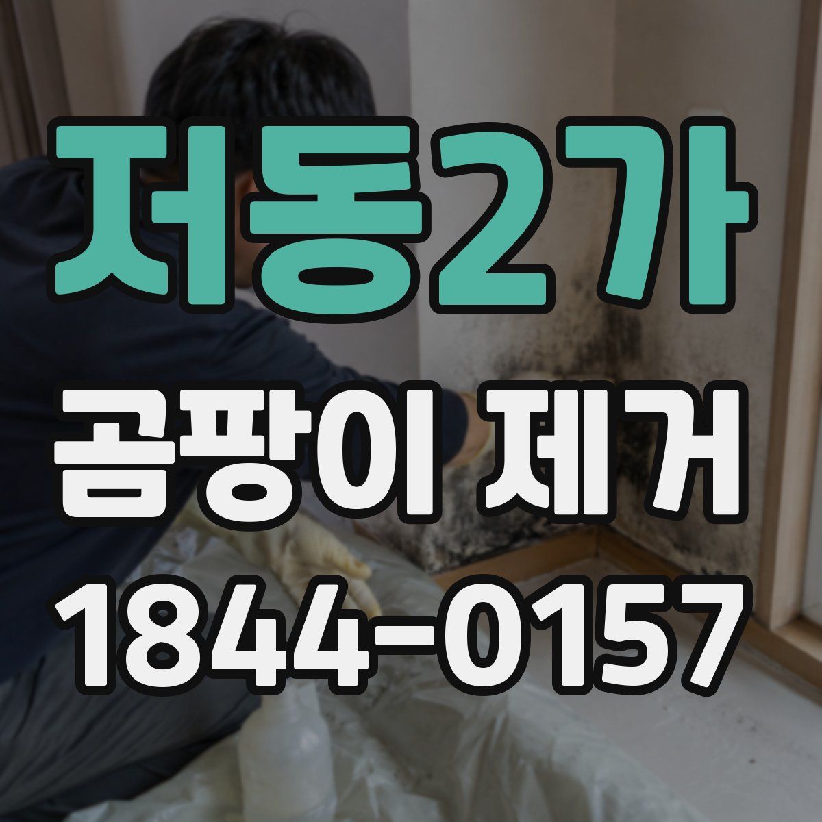저동2가 곰팡이 제거