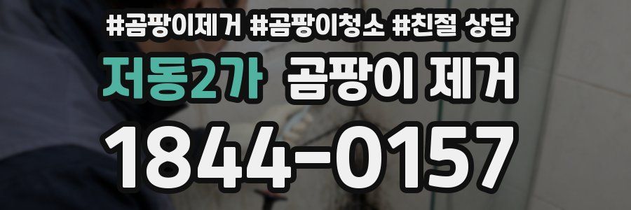 저동2가 곰팡이 제거