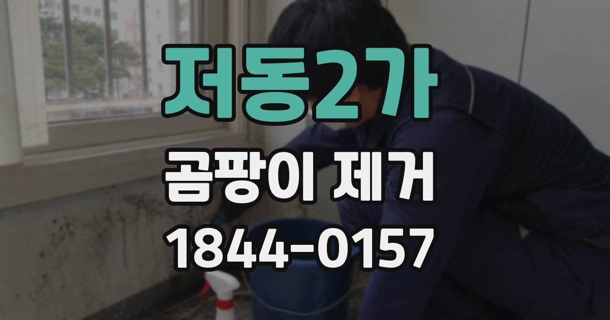 저동2가 곰팡이 제거