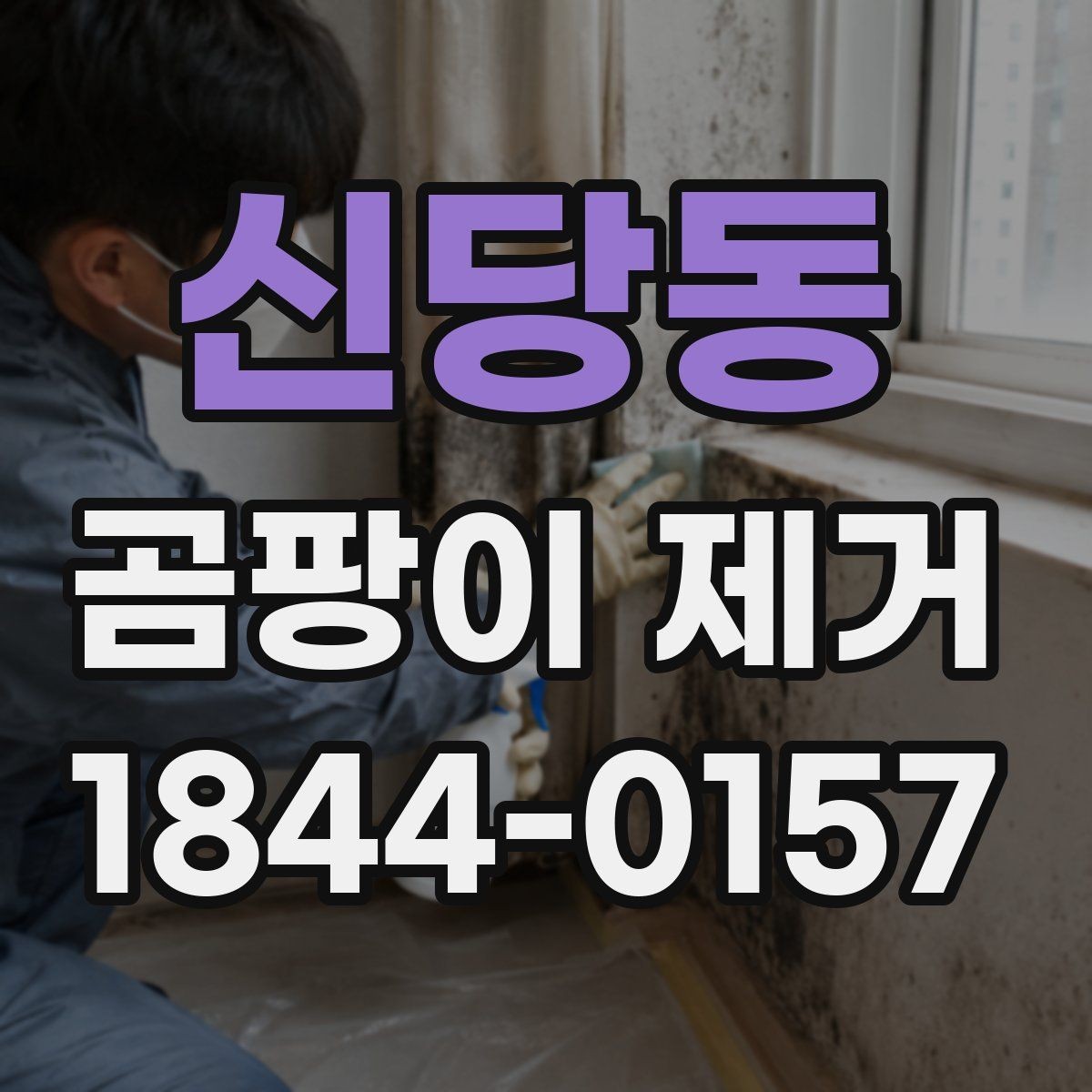 신당동 곰팡이 제거 대상에 따라 달라지는 작업 방식