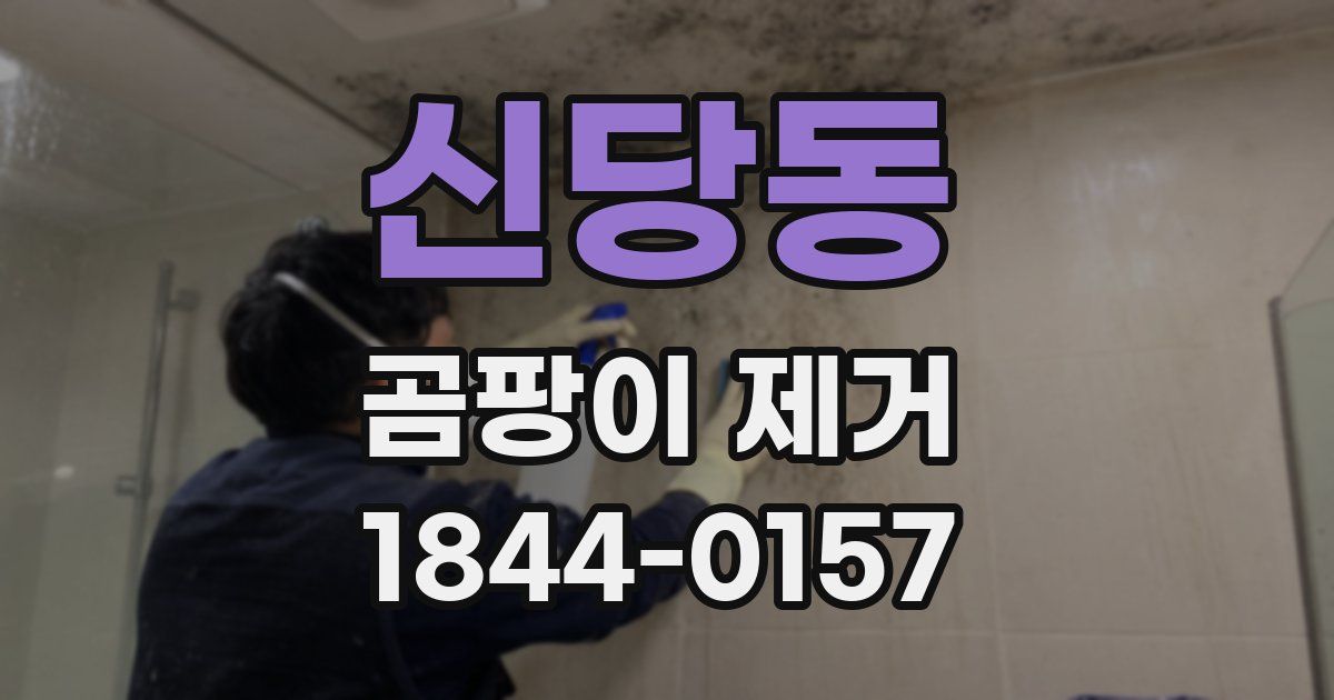 신당동 곰팡이 제거