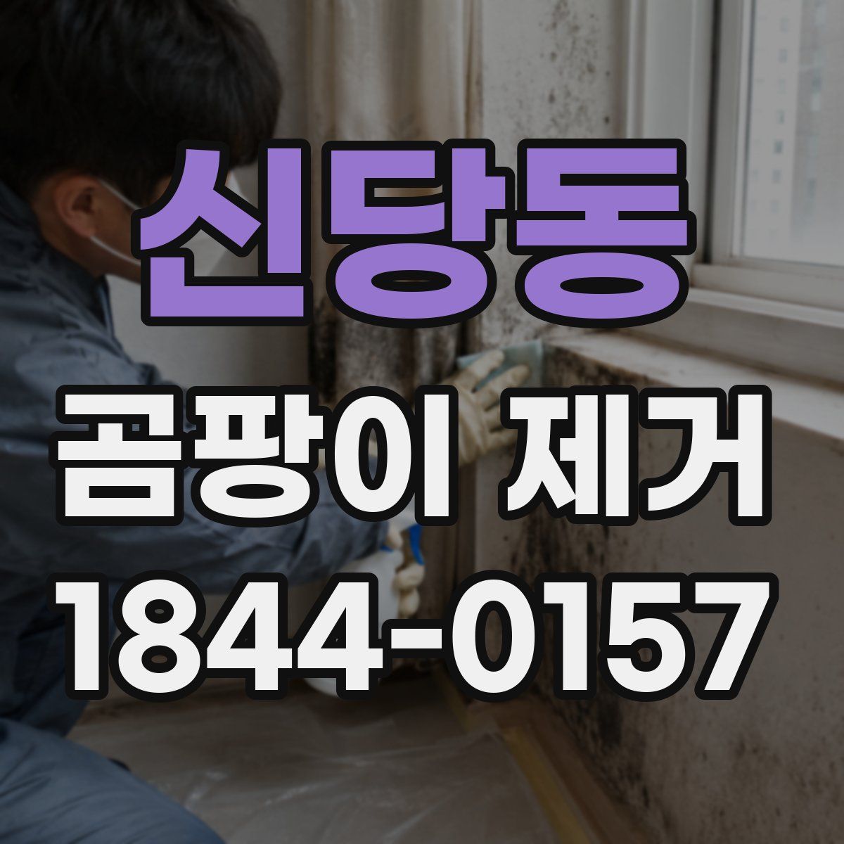 신당동 곰팡이 제거