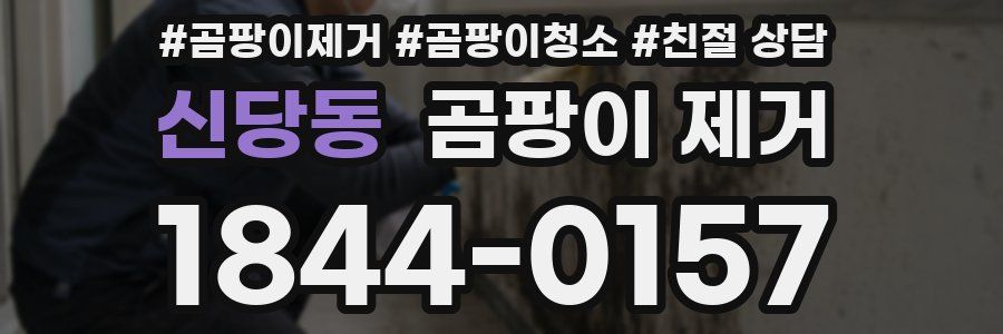 신당동 곰팡이 제거