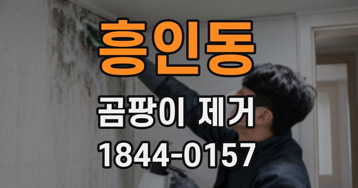흥인동 곰팡이 제거