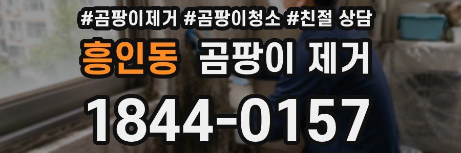 흥인동 곰팡이 제거