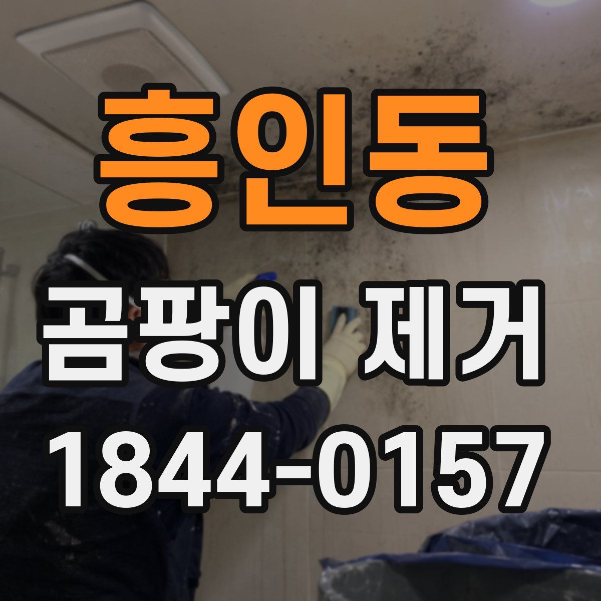 흥인동 곰팡이 제거