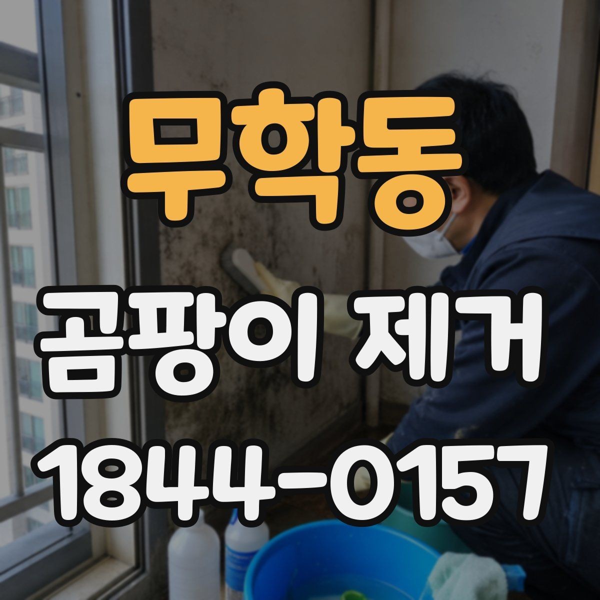 무학동 곰팡이 제거 대상이 넓을 때 비용은 어떻게 달라질까